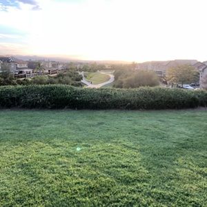 Meet your Posher, Julio